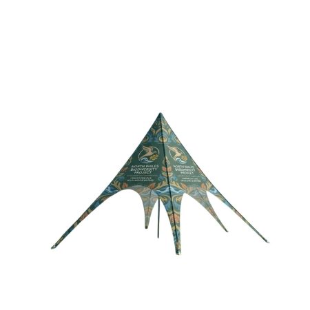 6M Star Tent